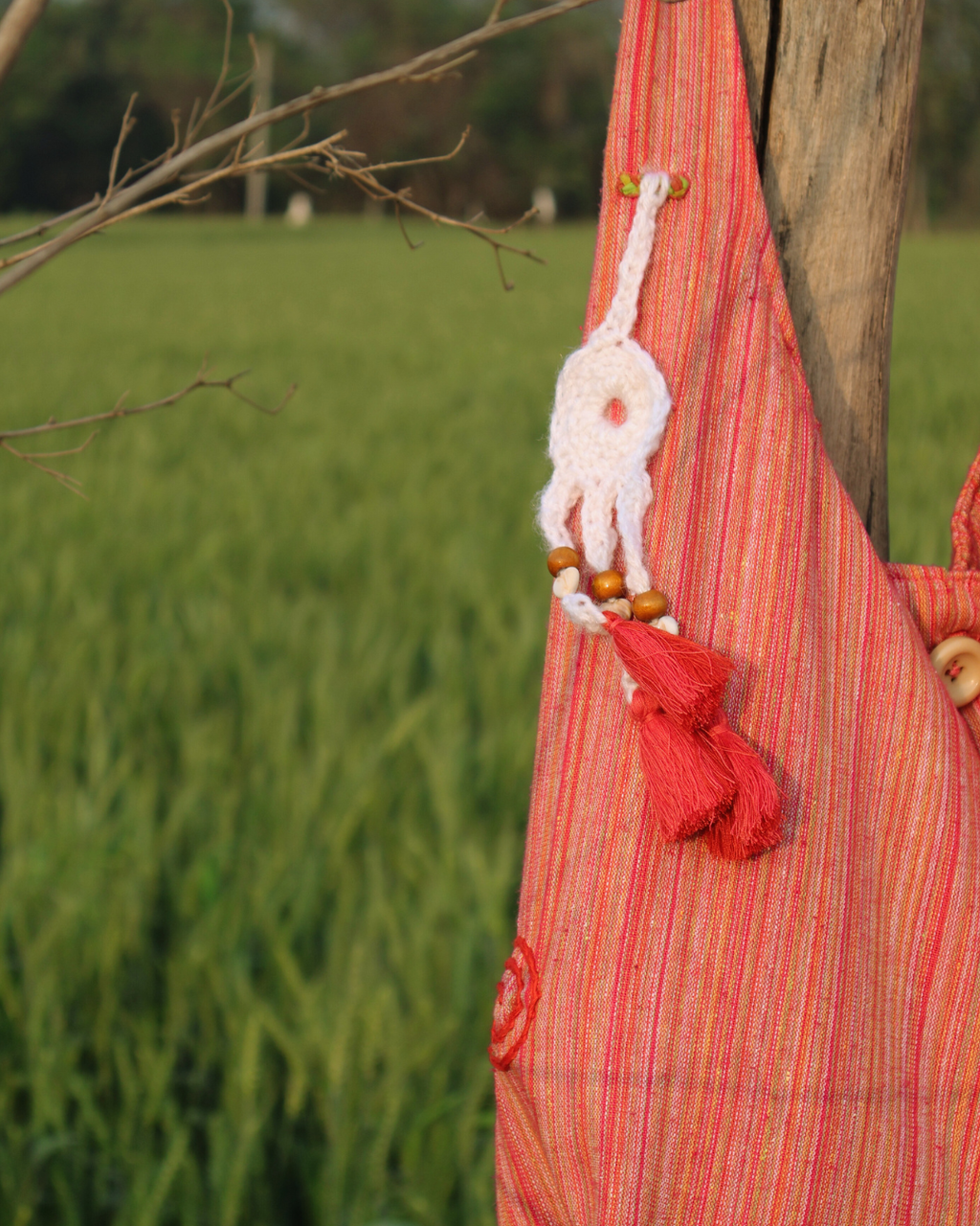 Red and orange striped bag with decorative elements against a green field background